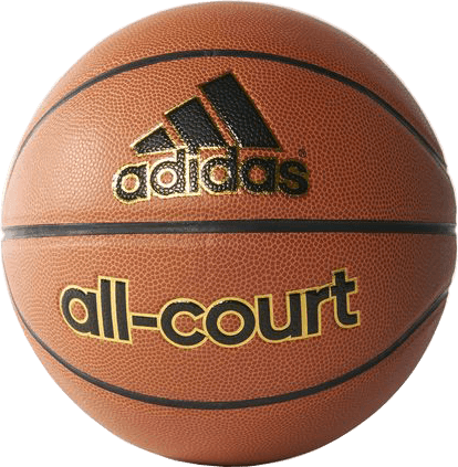 صورة All-Court Basketball